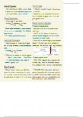 Fates of pyruvate, lactate and NADHs