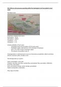 Pearson Edexcel EQ1 Water cycle and Water insecurity Full notes - A* Student