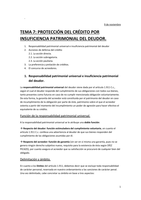 tema 7 PROTECCIÓN DEL CRÉDITO POR INSUFICIENCIA PATRIMONIAL DEL DEUDOR