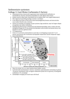 Hoorcollege 3 Sedimentaire Systemen -C-factory