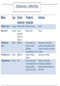 cranial nerves