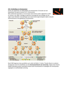 Samenvatting H15 Linken & chromosomen