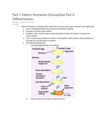 BIO 202 Midterm 4 Notes