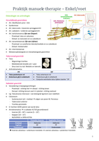 Praktijk manuele therapie - Enkel 