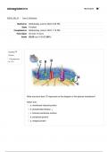 BIO201 Topic 3: Cell Biology Quiz; Grade 35.00 out of 35.00 (100%) Correct.