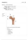 Straighterline Anatomy and Physiology 1 BIO201 Topic 7: Bones and Skeletal System Quiz 2023 - 2024