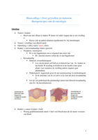 Hoorcollege Oncologie