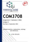 COM3708 Assignment 1 (PORTFOLIO DETAILED ANSWERS) Semester 1 2025 - DISTINCTION GUARANTEED