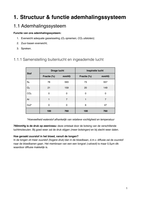 Biomedische wetenschappen - Ademhalingsfysiologie (E. Oostveen)