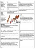 OCR AS Psychology Freud summary sheet 