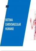 SISTEMA CARDIOVASCULAR PREUNI