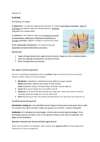 H5  biologie nectar