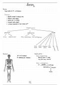 Bones introduction and classification 