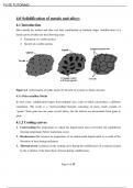 Solidification of metals and alloys