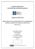 Trabajo de Prácticas online del Máster de PRL de la UFV