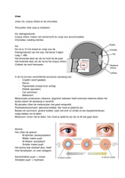 Oculaire anatomie en fysiologie