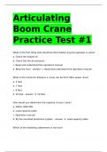 Articulating Boom Crane Practice Test -1.