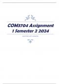 COM3704 Assignment 1 Semester 2 2024