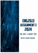 ENG2613 Assignment 3 2024 | Due 5 August 2024