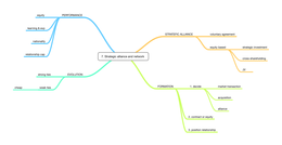 7 Strategic alliance and network