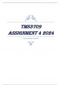 TMS3709 Assignment 4 2024