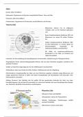 Zellen und Stoffwechselprozesse - biologie kl.12