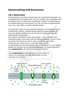 Samenvatting H18 Brainwave