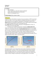 Blok 1.5 Probleem 8: Wha-Effer!