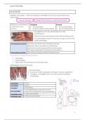 Complete samenvatting anatomie & fysiologie 1