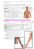 Complete samenvatting anatomie en fysiologie 2