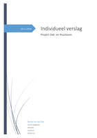 Individueel verslag dak- en thuislozen