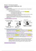 The Endocrine System