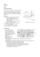 MSAe + MSAw blok C uitwerkingen casussen IVT + uitwerkingen pathologieën