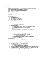 Lecture 3: Mendelian Genetics