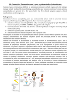 Rheumatology Summary