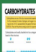 Carbohydrates 101