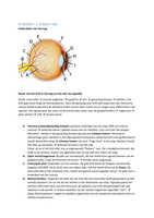 Samenvatting 2.4 perceptie probleem 1 tm 9