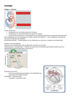 Samenvatting fysiologie colleges