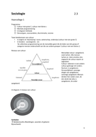 Samenvatting sociologie (Pedagogiek periode 2.3)