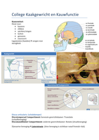 College Kaakgewricht en Kauwfunctie.
