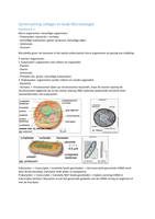 Samenvatting colleges en boek Microbiologie (MIB-10306)
