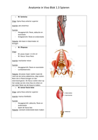 Anatomie in vivo blok 1.3