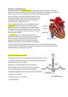 Samenvatting cardiologie 