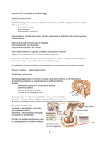 Hormonale huishouding