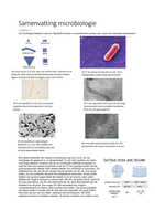 Microbiologie