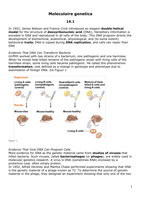 Summary molecular genetics