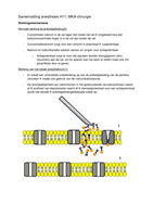 samenvatting anesthesie 