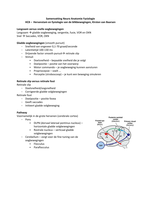 Neuro anatomie en fysiologie - Bundel HC, Kirsten van Baarsen
