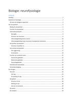 Samenvatting neurofysiologie 1BaTP