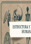 Apuntes de la clase Estructura Función Humana